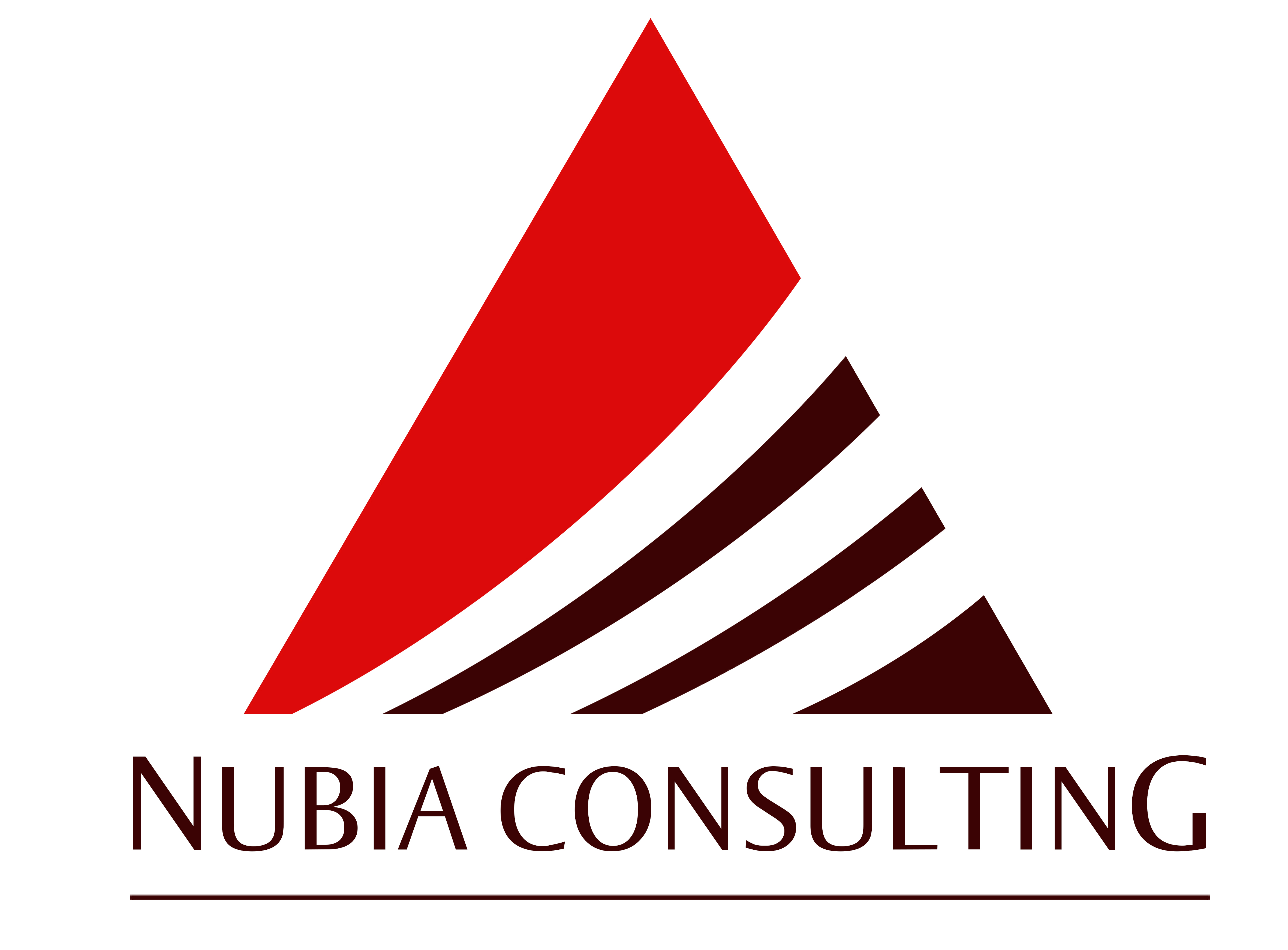 Nubia Logo - Copy_1